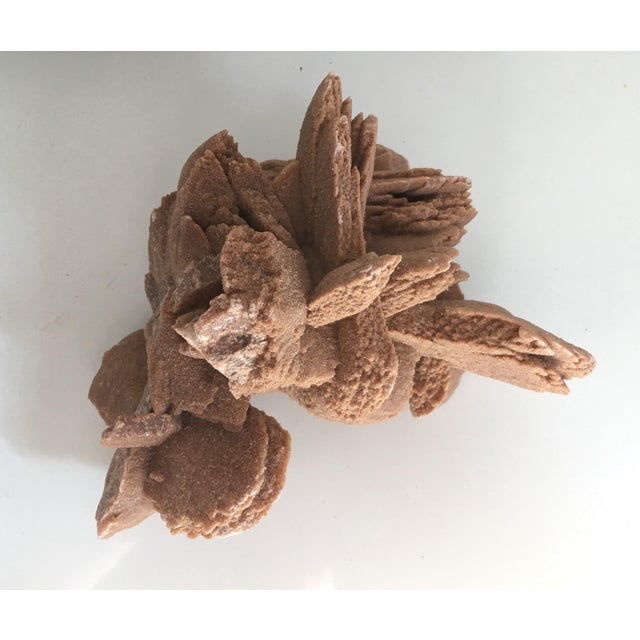 Rustic Desert Rose Selenite Crystal Formation For Sale - Image 3 of 7