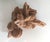 Rustic Desert Rose Selenite Crystal Formation For Sale - Image 3 of 7