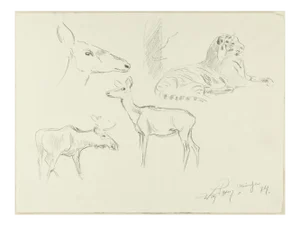 Study of Animals - Original Pencil Drawing by Willy Lorenz - 1940s 1940s