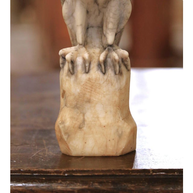 Stone 19th Century French Carved Variegated Marble Eagle Sculpture With Glass Eyes For Sale - Image 7 of 9