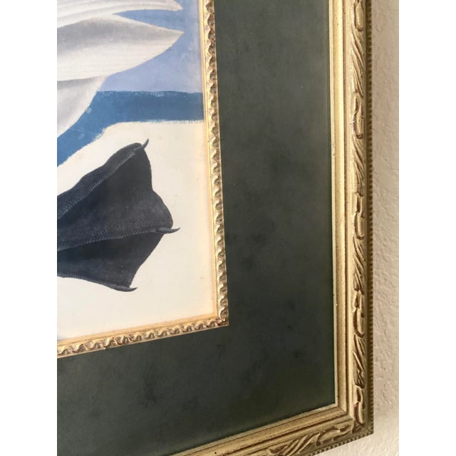 John James Audubon “Trumpeter Swan” Print Magnificently Matted and Framed Excellent Condition For Sale In Denver - Image 6 of 9