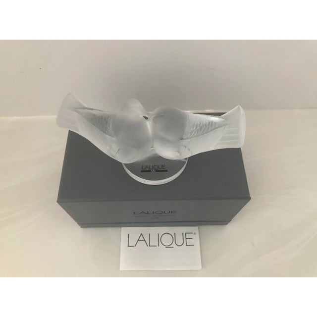 Glass LaLique Society of America 1993 Crystal Love Birds New in Box For Sale - Image 7 of 13