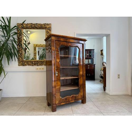 Brown Antique Late Biedermeier Display Cabinet For Sale - Image 8 of 18