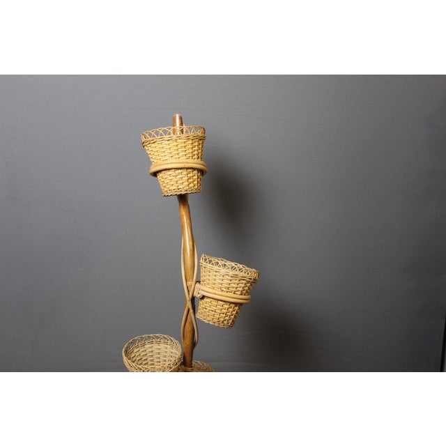 Rattan Plant Holder, 1970s For Sale - Image 4 of 9