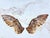 Flight II by Carrie Goller | Encaustic/Mixed Media on Wood Panel Wings against a light background For Sale