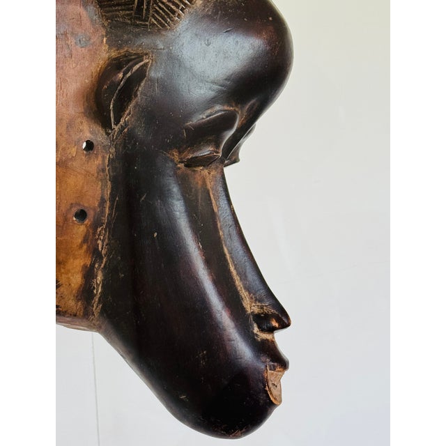Brown 20th Century Baule Portrait Mask in Lucite Museum Display For Sale - Image 8 of 11