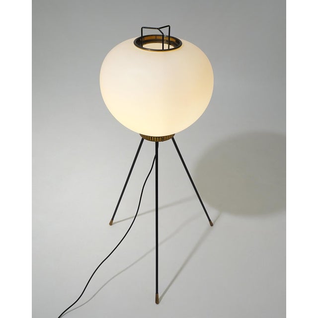 GlassTripod Floor Lamp from Stilnovo, 1950s For Sale - Image 6 of 16