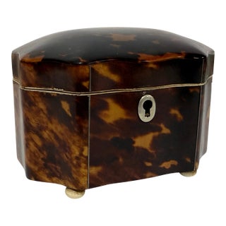 Dutch Regency Tortoiseshell Tea Caddy, Circa 1820 For Sale