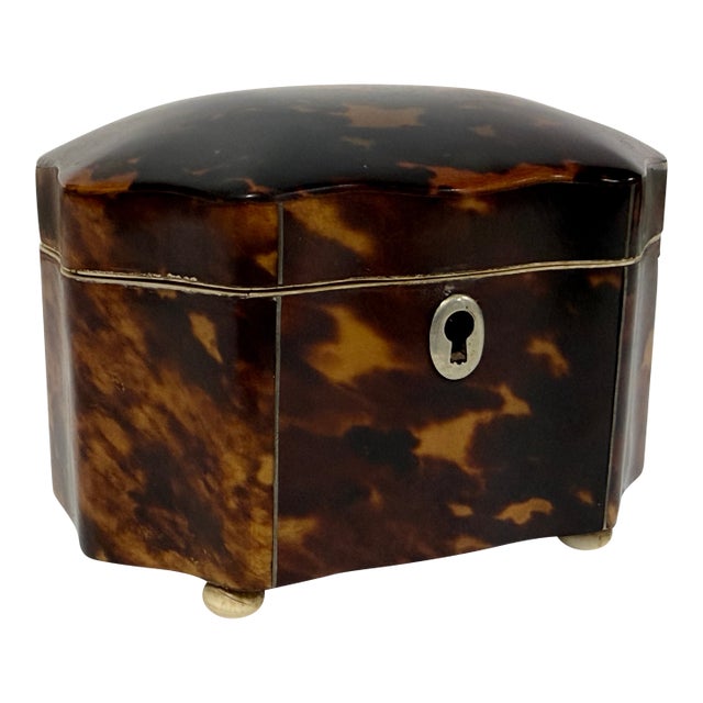 Dutch Regency Tortoiseshell Tea Caddy, Circa 1820 For Sale