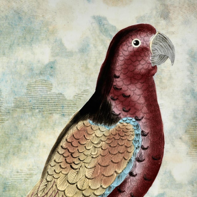 Ceramic Vintage Porcelain Vase With Birds or Parrots by John Derian For Sale - Image 7 of 12