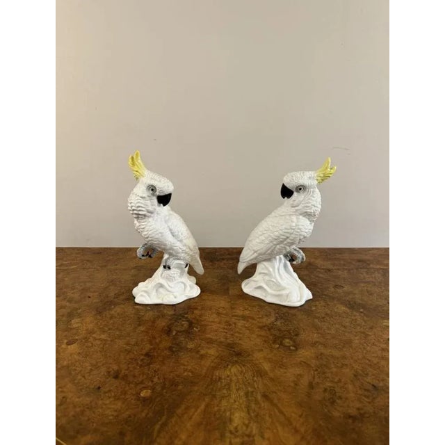 Mid-Century Cockatoos by T.J. Jones, 1950s, Set of 2 For Sale - Image 3 of 7