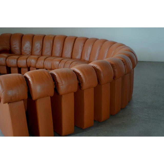 Animal Skin DS-600 Sectional Sofa in Cognac Leather by de Sede, Swiss, 1990s For Sale - Image 7 of 18