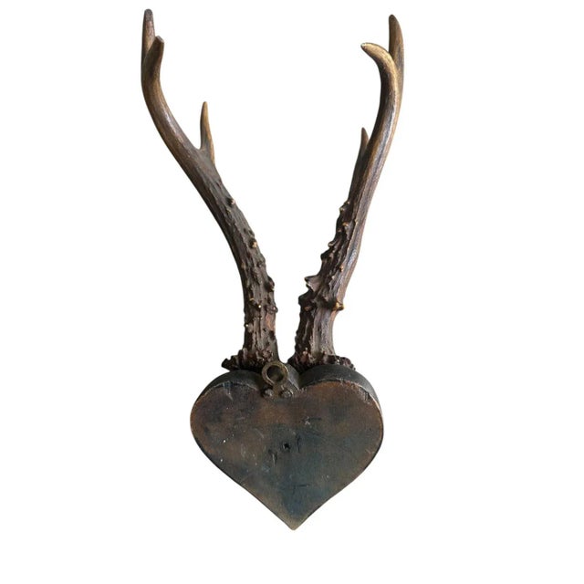 1900 - 1909 Early 1900s Roe Deer Trophy Rd130 Black Forest Antlers For Sale - Image 5 of 5