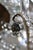 Rings House Chandelier Model #8203 from Maison Baguès, 1960s For Sale - Image 4 of 18