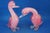 Large 20th Century Ducks in Pink Sommerso Glass by Archimede Seguso, Murano, Italy, Set of 2 For Sale - Image 9 of 18