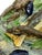 Large Plalissy ware Majolica Trompe L'oeil Platter by Alfred Renoleau (French circa 1885. Naturalistically molded and...
