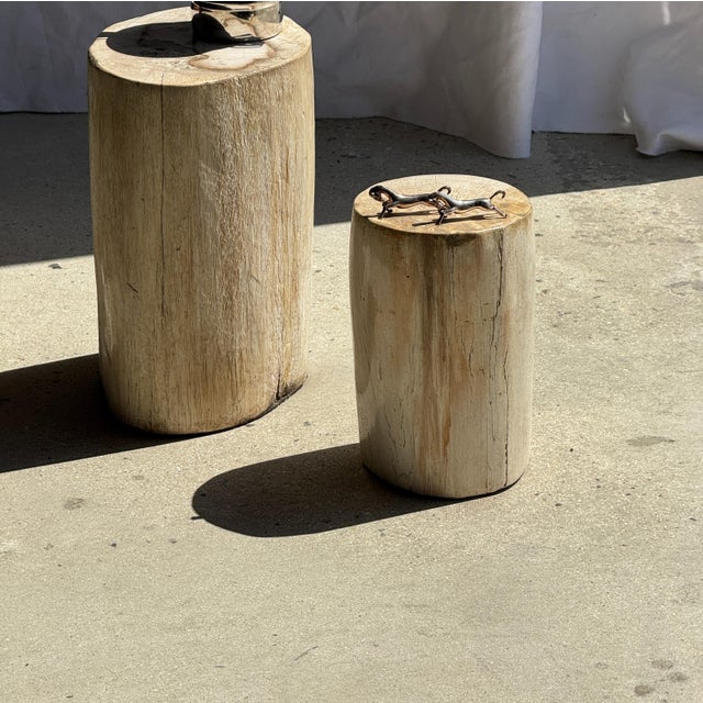 Oval White Petrified Wood Side Table, 1980s For Sale - Image 15 of 18