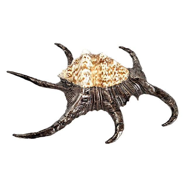 Silver Dipped Spider Conch Seashell Shell Sculpture For Sale - Image 11 of 11
