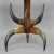 Large Hall Mirror With Cow Horn Decorations and Console Table, Austria 1870 For Sale - Image 4 of 6