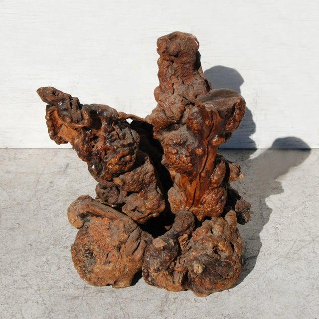 Late 20th Century Vintage Root & Glass Top Side Table For Sale - Image 5 of 7