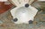 Metal Rare, Vintage Italian Tole Metal Tulip Vase, W/ Center Glass Vase Insert For Sale - Image 7 of 7