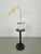 Hand Carved Wood Barley Twist Side Table Pedestal Plant Stand Measurements Height: 60 cm Diameter: 26 cm
