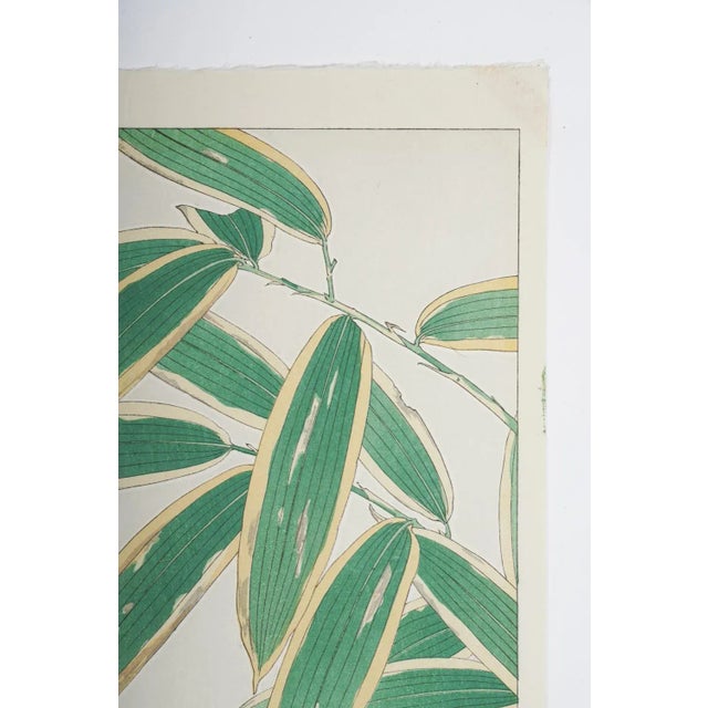 Paper Vintage 1950's Japanese Woodblock Kawarazaki Shodoo Botanical Print For Sale - Image 7 of 8