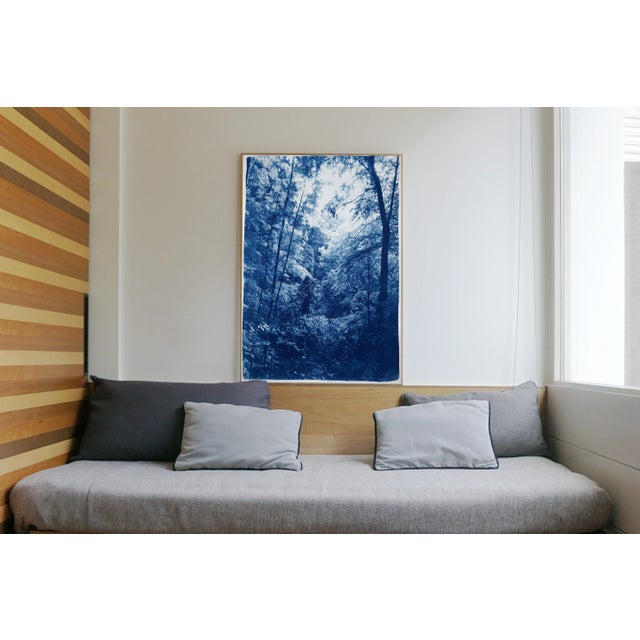 "Soft Light in the Woods" Contemporary Landscape Handmade Cyanotype Print on Watercolor Paper For Sale - Image 4 of 8