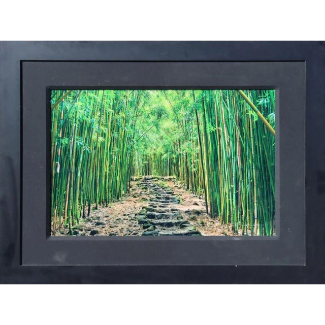 Lucky Bamboo Path Photo Taken by Peter Lik in Maui Hawaii, Green Bamboo, Framed For Sale - Image 10 of 18