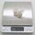 Vintage Italian Handmade Genuine Silver Filigree Butterfly Life Size Figurine / Brooch For Sale - Image 9 of 10