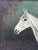 Grisette Grey Mare Equestrian Oil Painting Dated 1925 Painted From Life at Nantwich With Links to the Grosvenor Sporting Sphere and Cheshire Hunt For Sale - Image 13 of 18