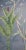 Birds Awakening Garden on Blue Wallpaper Mural - Set of 7 For Sale - Image 11 of 11