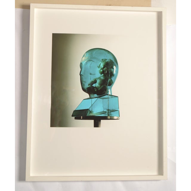 2010 Blue Head Artwork Dudley Reed Fine Art Photography For Sale - Image 14 of 14