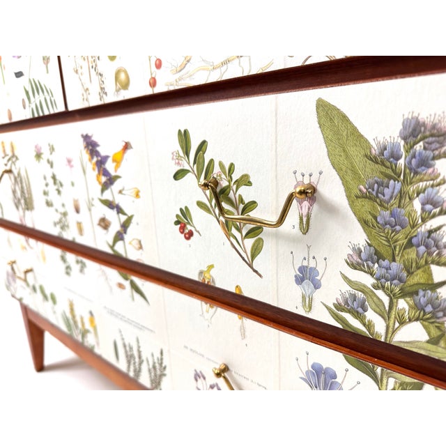 Wood 1950's Swedish Cabinet With Nordens Flora Illustrations For Sale - Image 7 of 12