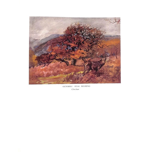 1930s "The Devon and Somerset Staghounds: 1907-1936" Macdermot, e.t. For Sale - Image 5 of 14