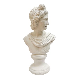 Vintage Plaster Bust of Apollo For Sale