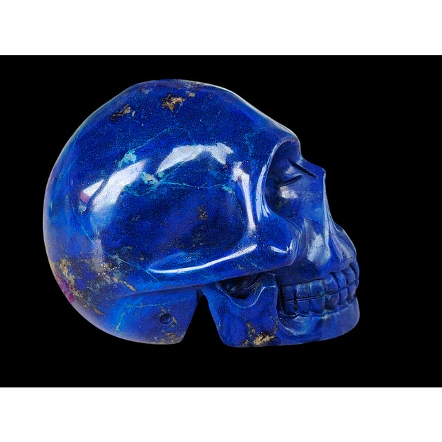 Vanitas is an allegorical representation of the fragility of human life and the futility of human passions and activities....