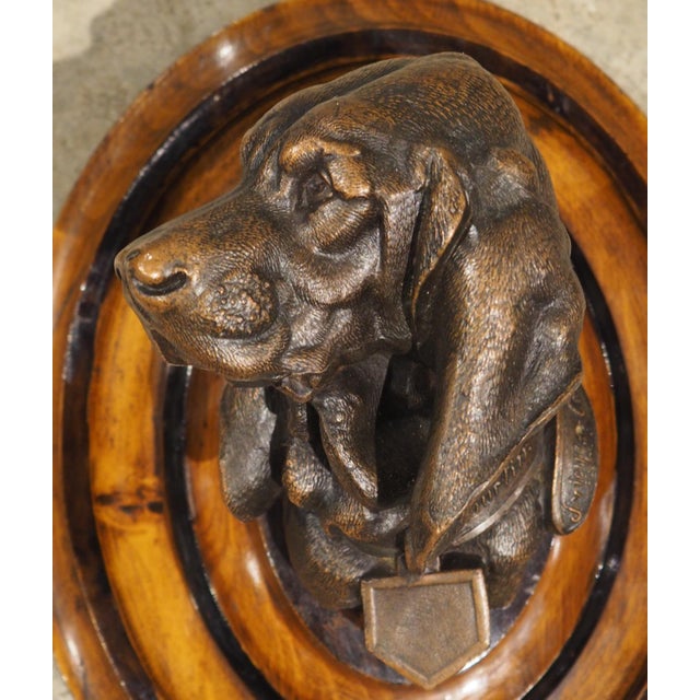 A Signed Antique French Medallion Bronze Bust of the St. Hubert Hound (1851-1925) For Sale - Image 4 of 15