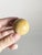 Beige Decorative Marble Spheres, France, 1970s, Set of 19 For Sale - Image 8 of 12