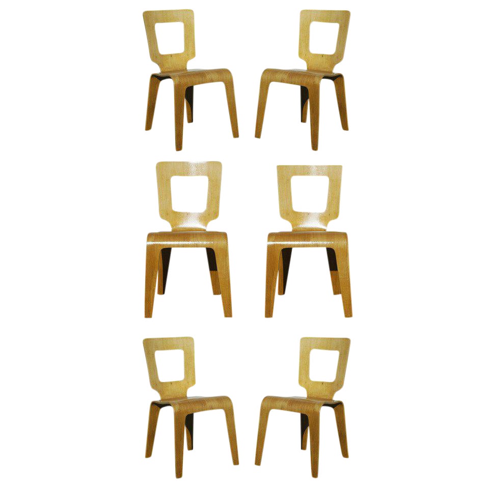 ThadenJordan Furniture Bent Plywood Side Chairs Set of 6 Chairish