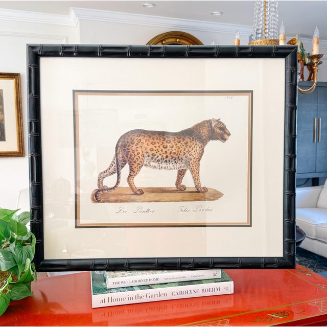Black Vintage Framed "Der Panther" Lithograph Style Print in Black Faux Bamboo Frame For Sale - Image 8 of 8