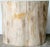 Organic Petrified Wood Stump #315 - Supellex For Sale - Image 4 of 4