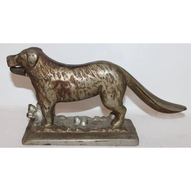 This silver painted dog nut cracker of a dog has a squirrel in front of the dog. It has a fantastic patina and nice weight.