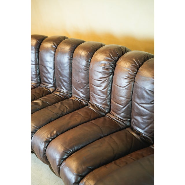 DS600 Non-Stop Snake Sofa in Brown Leather by Ueli Berger for de Sede, 1970s, Set of 16 For Sale - Image 4 of 18