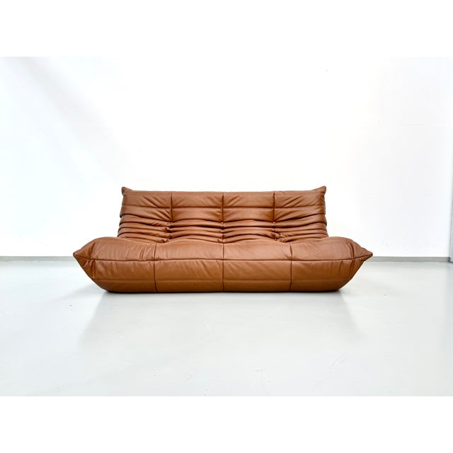 Togo Three-Seater Sofa in Dark Cognac Leather by Michel Ducaroy for Ligne Roset For Sale - Image 12 of 12