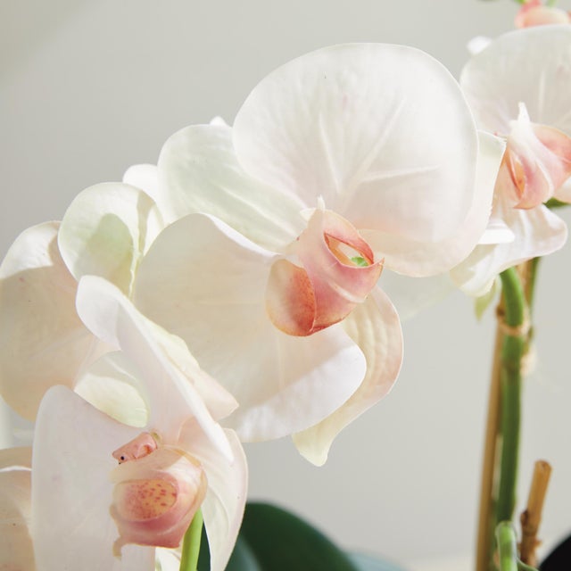 Pink Phalaenopsis Orchid Bowl Drop-In 18.5" For Sale - Image 8 of 8
