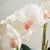 Pink Phalaenopsis Orchid Bowl Drop-In 18.5" For Sale - Image 8 of 8