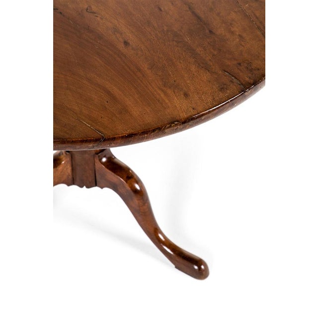 George III Tripod Supper Table For Sale - Image 6 of 14