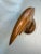 Brown Mid Century Nautical Angelfish Solid Wood Tabletop Sculpture For Sale - Image 8 of 9