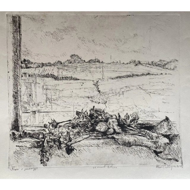 Marco Bellagamba, Dry Flowers in the Landscape, Original Etching, 1968 For Sale